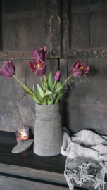 Tulpen open bundle | aubergine