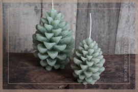 Kaars pine cone | groen S