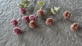 Dahlia bloem kunst | cappuccino