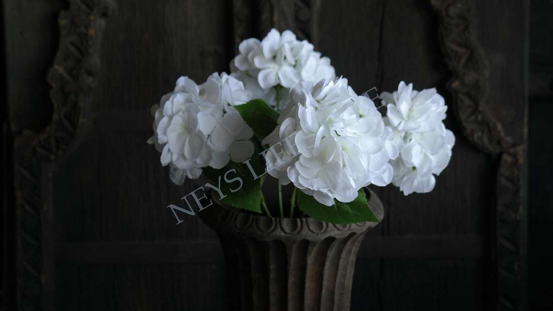 Hortensia plant zijden | wit