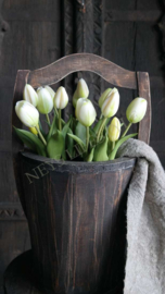 Tulp in pot | wit-groen 24 cm