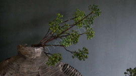 Rozenbottel/ bessen kunst tak | groen 82 cm