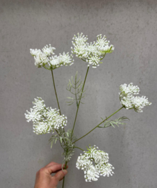 Wildwortel /fluitekruid kunst bloem | wit