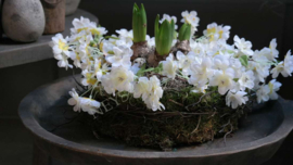 Bloementaart | Spring 3