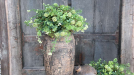 Halve decobol kunst lime groen |  M