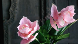 Medinella kunst bloem  | roze