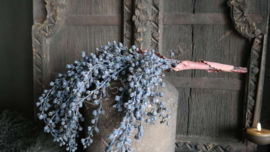 Dadeltak kunst | ingedroogd