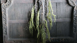 Panicum kunst groen tak | 70 cm