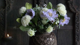 Scabiosa tak zijden | paars
