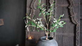 Olijfboom in pot | kunst 60 cm