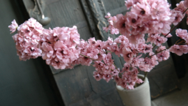Prunus kunst bloem | roze