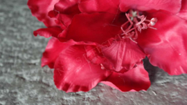 Amaryllis namaak bloem | rood