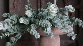 Eucalyptus bosje kunst | groen/grijs 53 cm
