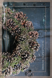 Pine moss  krans | 60 cm