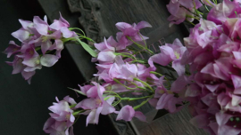 Tak Bougainvillea zijden | paars