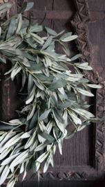 Olijfblad krans namaak | 53 cm