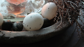 Zak met 24 plastic peewit eggs |  6 cm