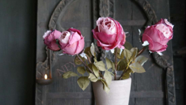 Roos dried zijden bloem | roze