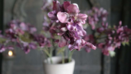 Delphinium zijden bloem | paars