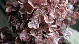 Hortensia zijden bloem | oud roze