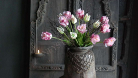 Bosje Tulp parrot paars /groen l 40 cm