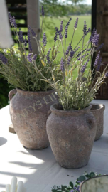 Lavendel namaak plant | op steker
