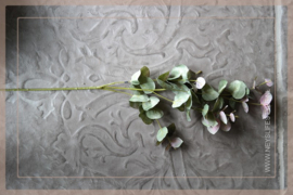 Eucalyptus kunst tak  | groen/rood