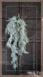 Asparagus kunst tak groen frosted | 105 cm