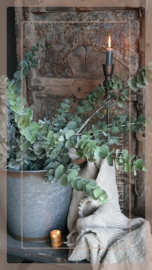 Eucalyptus tak | groen 93 cm