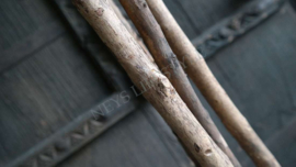 Bloesem kunst boom wit | 160 cm