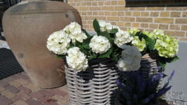 Hortensia plant namaak UV bestendig| wit