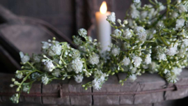 Gipskruid bosje groen - wit | 20 cm