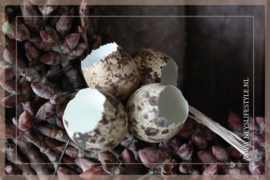 Doosje kwarteleitjes  | 20 stuks