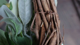 Krans citroenen namaak |  50 cm