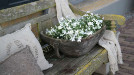 Vlijtig liesje plant plastic | wit