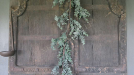 Eucalyptus guirlande  | 155 cm