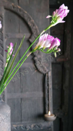 Freesia bloem namaak | roze 83 cm