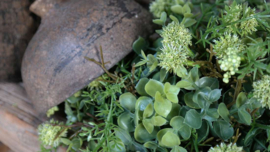 Halve decobol kunst lime groen |  M