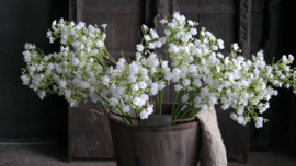 Gipskruid bloem zijden | 70 cm