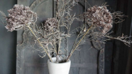 Berenklauw tak namaak 60 cm | bruin glitter