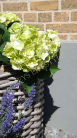 Hortensia plant namaak UV bestendig| groen