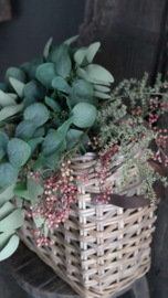 Plantenmand rotan hengsel  | S