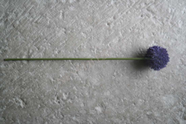 Allium bloem kunst 44 cm | paars