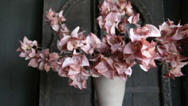 Bougainvillea dried zijden bloem | roze