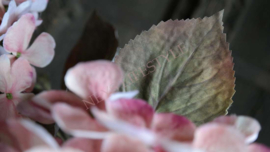 Hortensia zijden bloem | zacht roze
