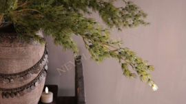 Asparagus tak real touch | 100 cm