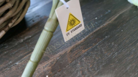 Geranium plant namaak UV bestendig| créme