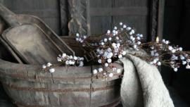 Gipskruid tak kunst | créme 95 cm