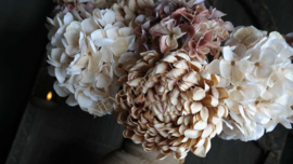 Hortensia zijden bloem | beige