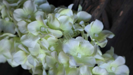 Hortensia krans zijden | groen